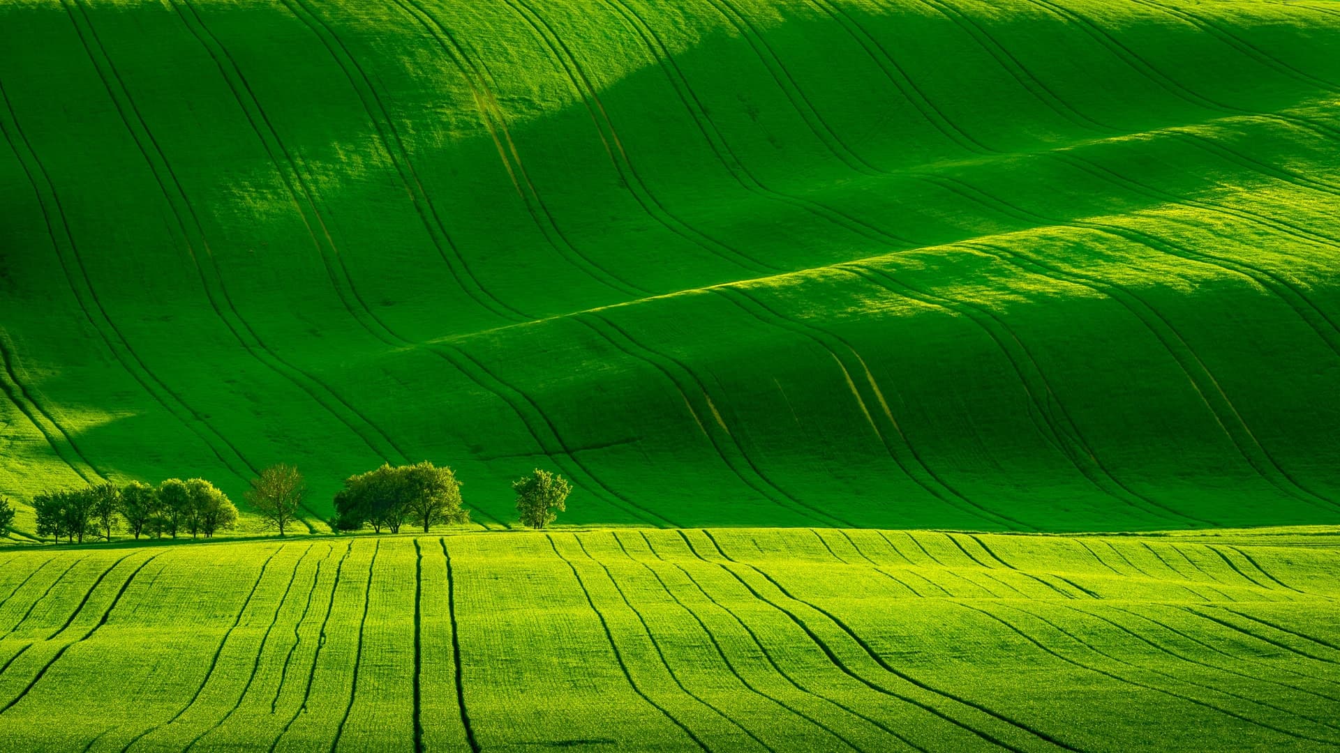 Photo day trip from Prague to a Czech town
